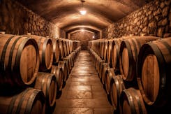 Owned tours: Château Beauregard, Château Barde-Haut, Château La Fleur de Boüard, Château Pontet-Canet, Château Haut-Bages Libéral, Château Pédesclaux.